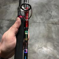 Canna da spinning pesante 230cm 150g Siluro/Mare