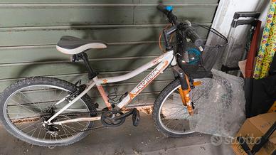 bicicletta da bambino 