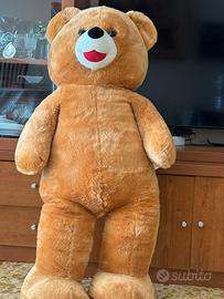 Peluche/orsacchiotto