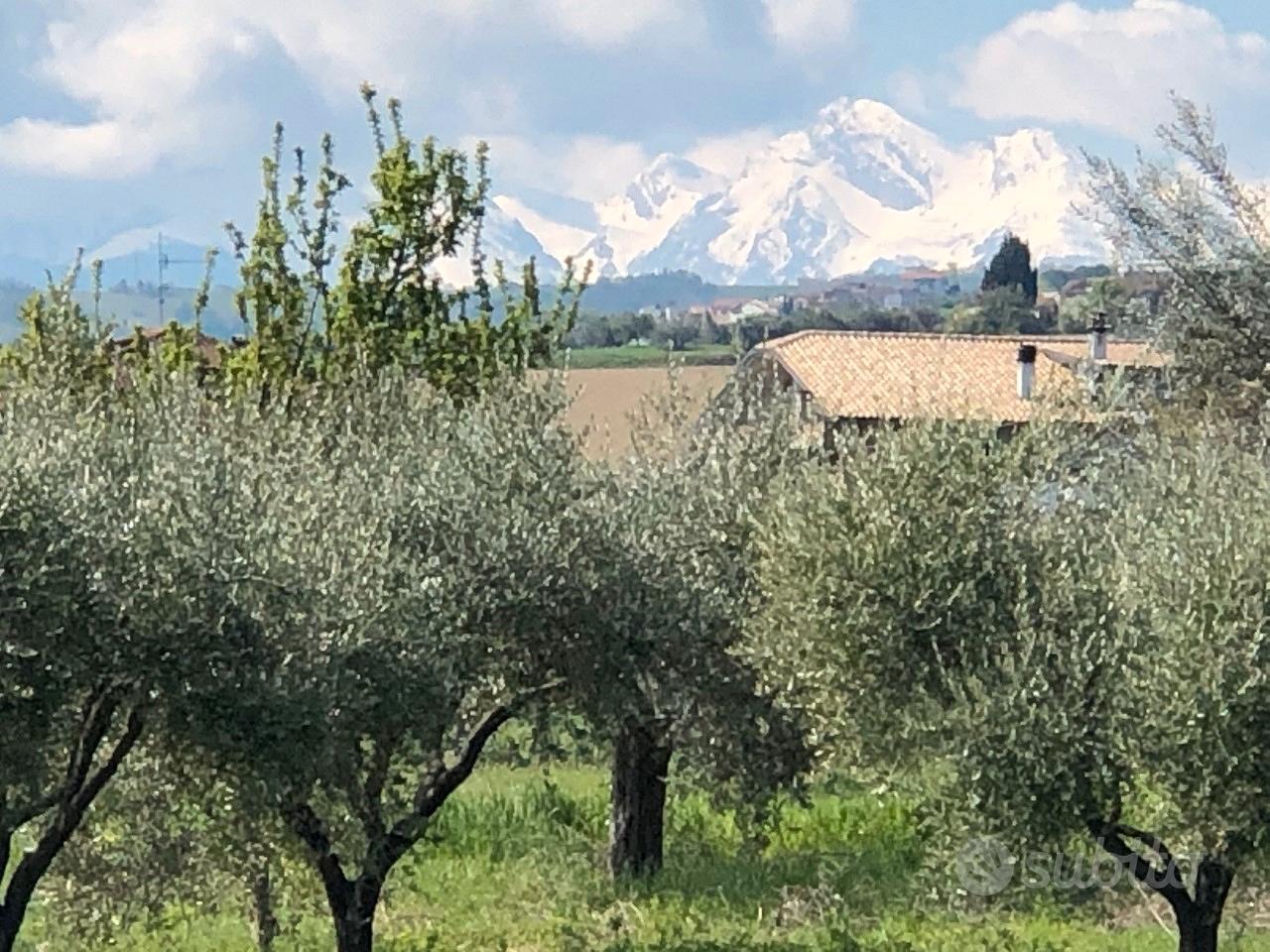 Area costruzione - Vista 5