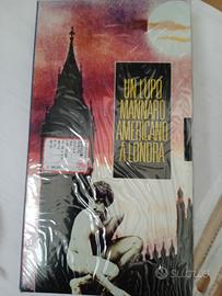 VHS un lupo americano a Londra