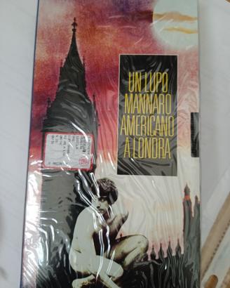 VHS un lupo americano a Londra