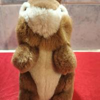 peluche scoiattolo Chicco