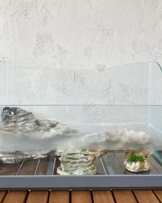 Teca per tartarughe d’acqua