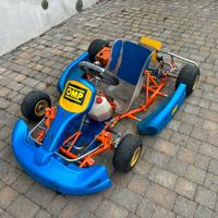 Mini Kart Birel 60