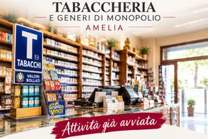 Attività Commerciale Amelia [Cod. rif 3338107VCG]