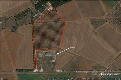 Oliveto in Corigliano d'Otranto