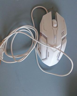 mouse