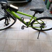 Mountain Bike Cube Aim Pro L Green & Black