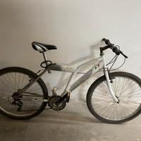 Bicicletta coppi