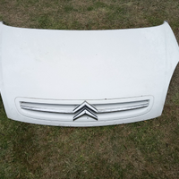 Pezzi di ricambio Citroen Xara picasso 2.0 90cv