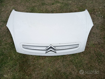 Pezzi di ricambio Citroen Xara picasso 2.0 90cv