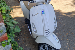 Vespa primavera 50