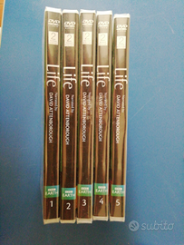 Serie completa life della bbc