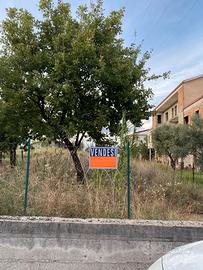 Terreno Montalto Uffugo
