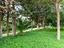 Immagine 29