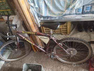 Mountain bike Shimano 