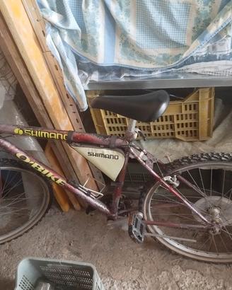 Mountain bike Shimano 