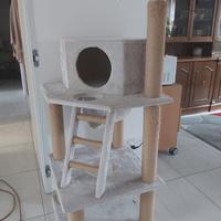 Accessori per gatti.