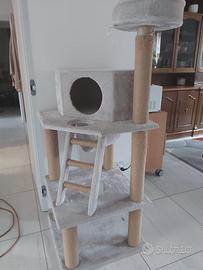 Accessori per gatti.