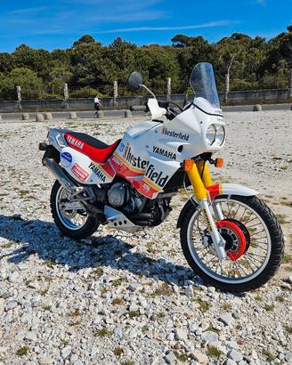 xtz 750 Super Tenerè  replica Paris Dakar