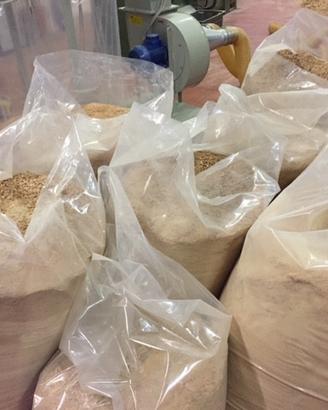 Trucciolo di legno vergine