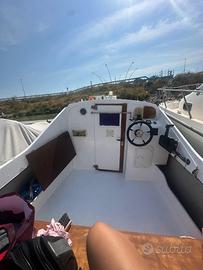 Barca a Motore Acquaviva con motore Mercury