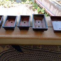 vasi da giardino/bonsai