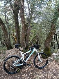 mtb full univega