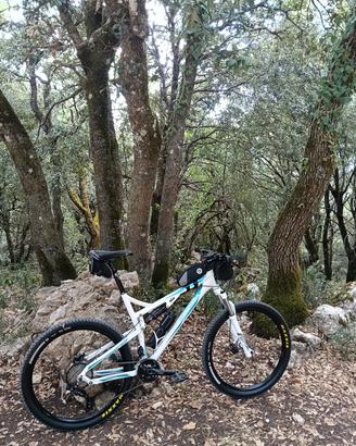 mtb full univega