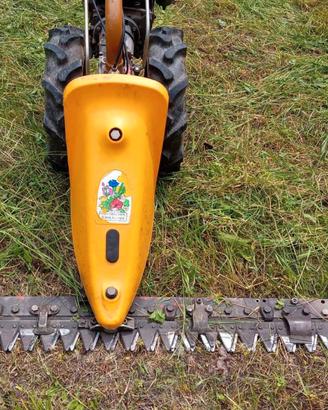 MOTO FALCIATRICE professionale Ape Regina Grillo  