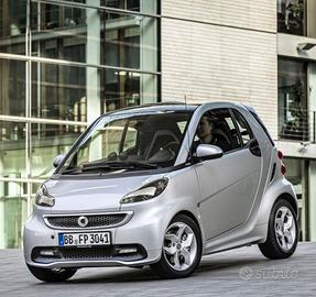 Plastiche smart 451     SI VENDONO COMPLETE