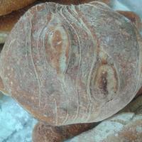 panettiere 