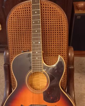 Chitarra Fender El Rio 