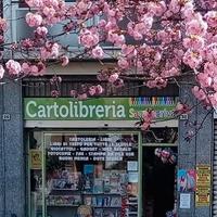 Vendita Cartolibreria