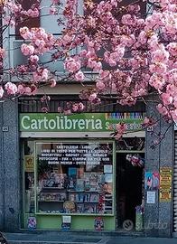 Vendita Cartolibreria