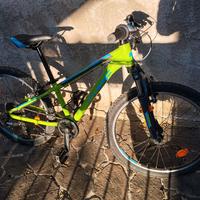 CUBE ACID 240