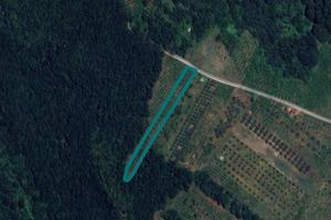 Immobile in asta di 5870 m² a Faleria