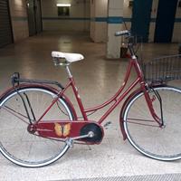 bicicletta da passeggio