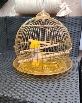 Gabbia per uccelli in ottone e acrilico de luxe