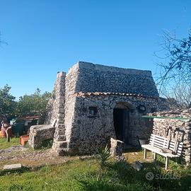 Terreno con pajara