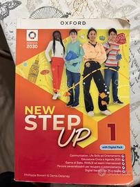 New step up 1