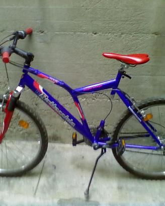 Mountain Bike Bottecchia 26"