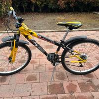 Bottecchia ruota 24”