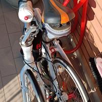 bici pieghevole 
