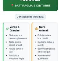 Tuttofare,manutentore del verde