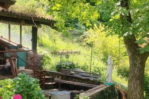 Intera Casa vacanze relax nel bosco