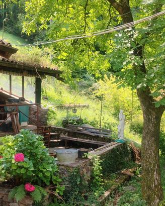 Intera Casa vacanze relax nel bosco