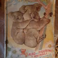 Album figurine di animali completo 