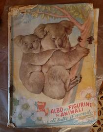 Album figurine di animali completo 